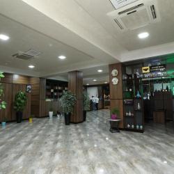 Фото Отель Chinor Hotel (Чинор)
