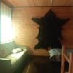 Фото Отель Родные берега