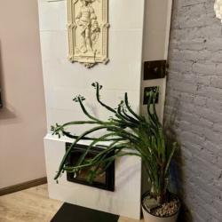 Комната эконом с 1 двуспальной кроватью (общие удобства)