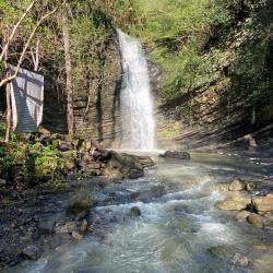 Фото Отель Лоран