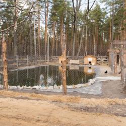 Фото Парк-Отель Березка