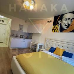 Фото Отель Hanaka (Ханака) на улице Михайлова 30а корпус 4
