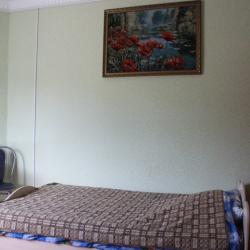 Номер эконом с 2 односпальными кроватями