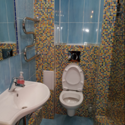 1-комнатные апартаменты стандарт с 1 двуспальной кроватью