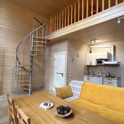 Фото Отель Шишка