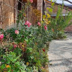 Фото Отель Пан Азиат