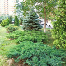 1-комнатные апартаменты стандарт