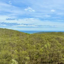 Фото Апартаменты на Зеленом бульваре 19