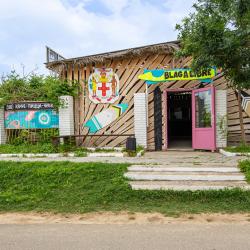 Фото Отель Блага Дель Мар