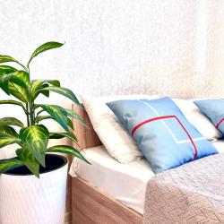 1-комнатные апартаменты студия Южнодомодедовская 17