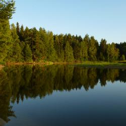 Фото Отель Пансионат Сосновый бор