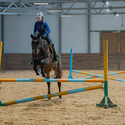 Фото Парк-Отель Басовское
