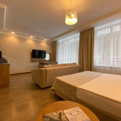 1-комнатные апартаменты студия