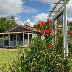 Фото Отель Творческий глэмпинг Скворечник