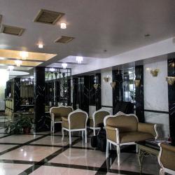 Фото Отель Дельфин (Дельфинарий Морская Звезда)