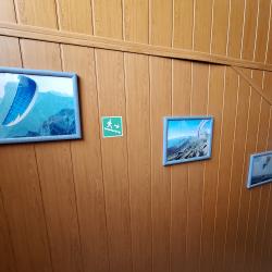 Фото Отель Лесная жемчужина