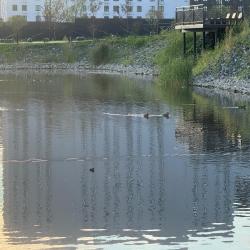 Апартаменты люкс Новгородска 22