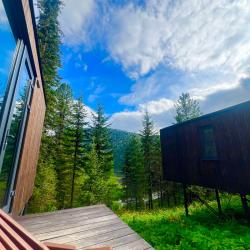 Фото Отель Телецкое Золотое