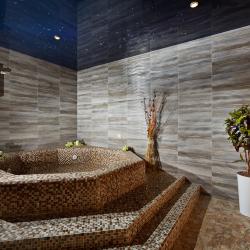 Фото Отель Alfa Radon Medical and Spa Resort (Санаторий Альфа Радон)