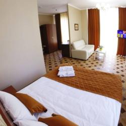 Апартаменты стандарт с 1 двуспальной кроватью