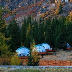 Фото Отель Зелёный колобок