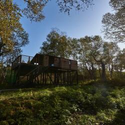 Фото Отель Kamchatka Forest Lodge (Камчатка Форест Лодж)