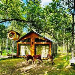 Фото Отель Домики Бэмби Ленд