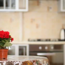 Фото Апартаменты на проспекте Мира 36