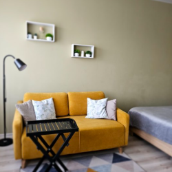 1-комнатные апартаменты студия