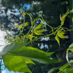 Фото Отель Каменный цветок