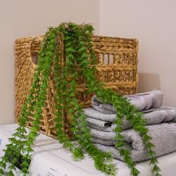 1-комнатные апартаменты улучшенные