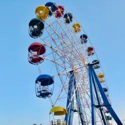 Фото Отель Фламинго