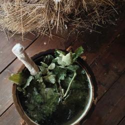 Фото Отель Маленькая Сербия