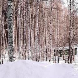 Фото Отель Динамо