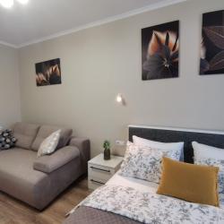 Фото Апартаменты Светлана на улице Советская