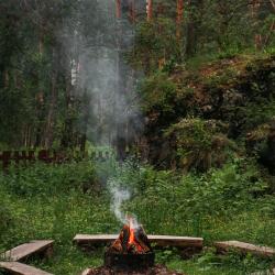 Фото Отель Роял Форест