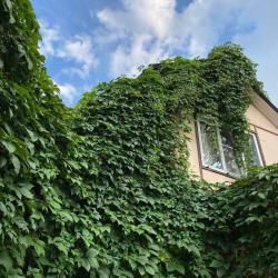 Фото Отель Коттедж на улице Московская 9