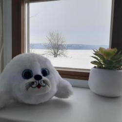 Фото Отель Аршан