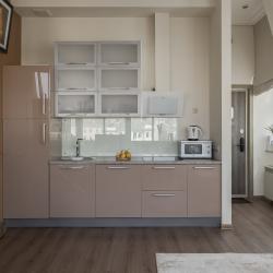 2-комнатные апартаменты люкс Большая Никитская 31 с 1 двуспальной кроватью