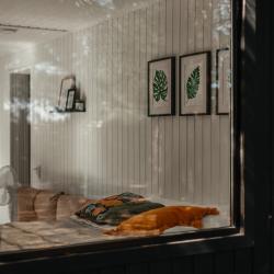 Фото Отель Dacha_oz