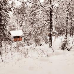 Фото Отель Мухоморье
