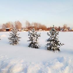 Фото Отель Аура