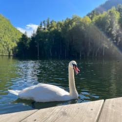 Фото Апартаменты на улице Гагарина 152