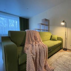 Фото Апартаменты на проспекте Чайковского 31