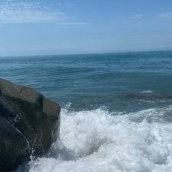 Фото Отель Семья