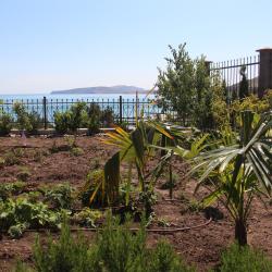 Фото Отель Авокадо