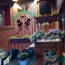 Фото Отель Мур ля Мур