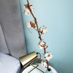 1-комнатные апартаменты улучшенные