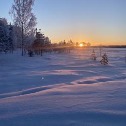 Фото Отель Шишки