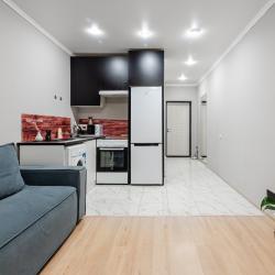 4-местные 1-комнатные апартаменты студия 207